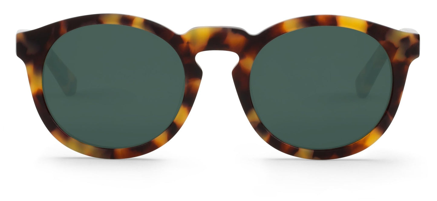 High Contrast Tortoise Jordaan With Classical Lenses - Mr.Boho - Sunglasses