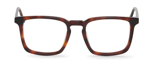 WALNUT - BELCHER - Mr.Boho - Optical Glasses